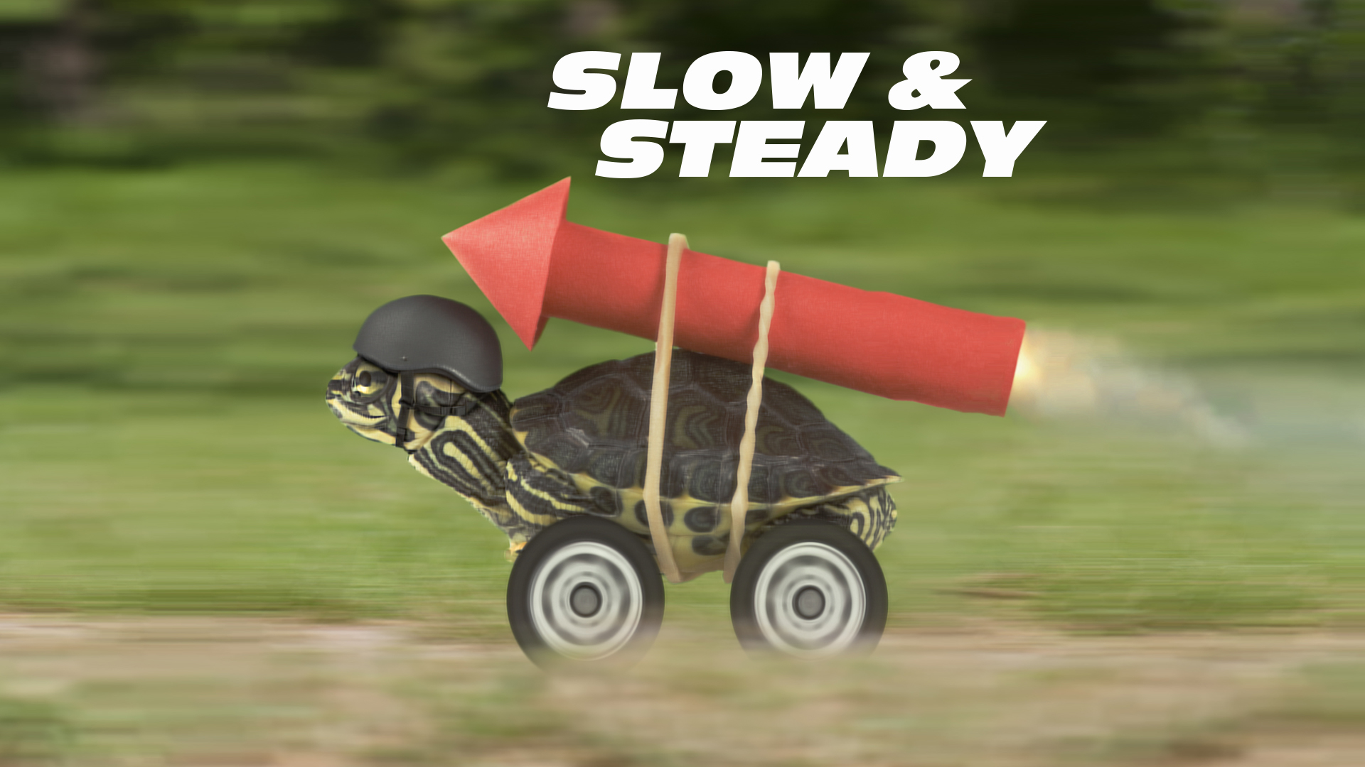 slow-steady